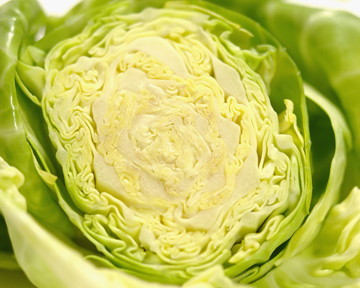 Braised Green Cabbage recipe
