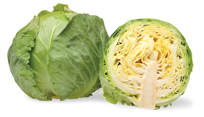 cabbage