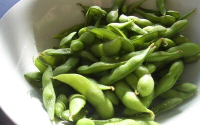 April is Soy Foods Month